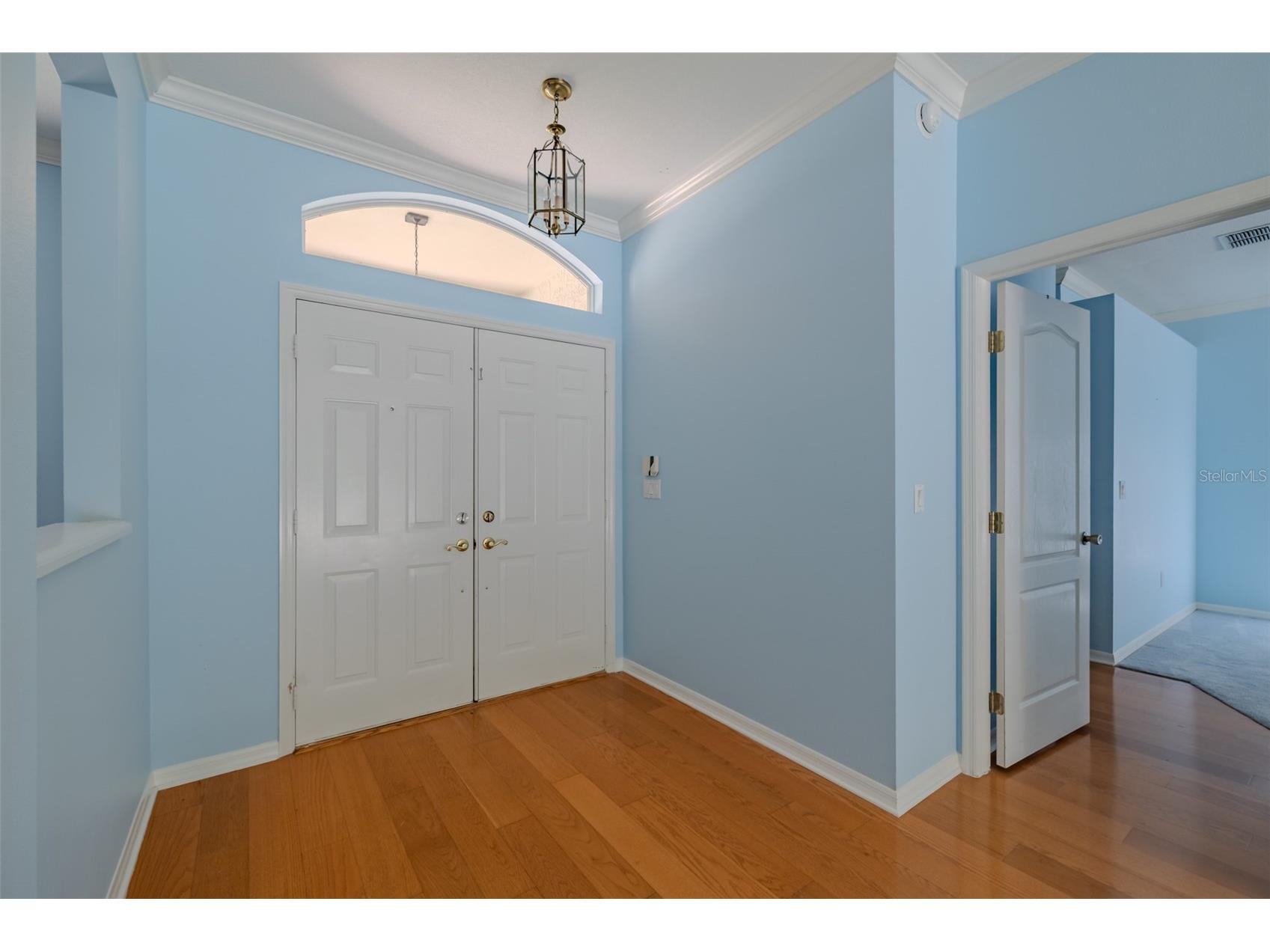 507 Surrey Lane Lutz FL 33549 TB8517387 image22