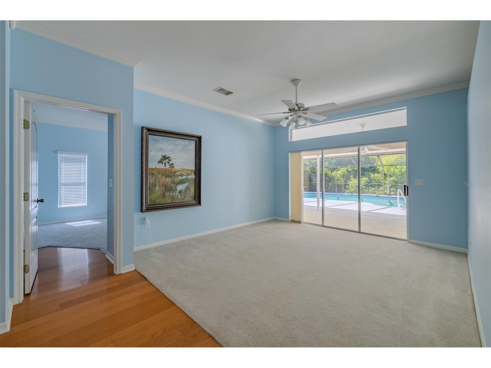 507 Surrey Lane Lutz FL 33549 TB8517387 image23