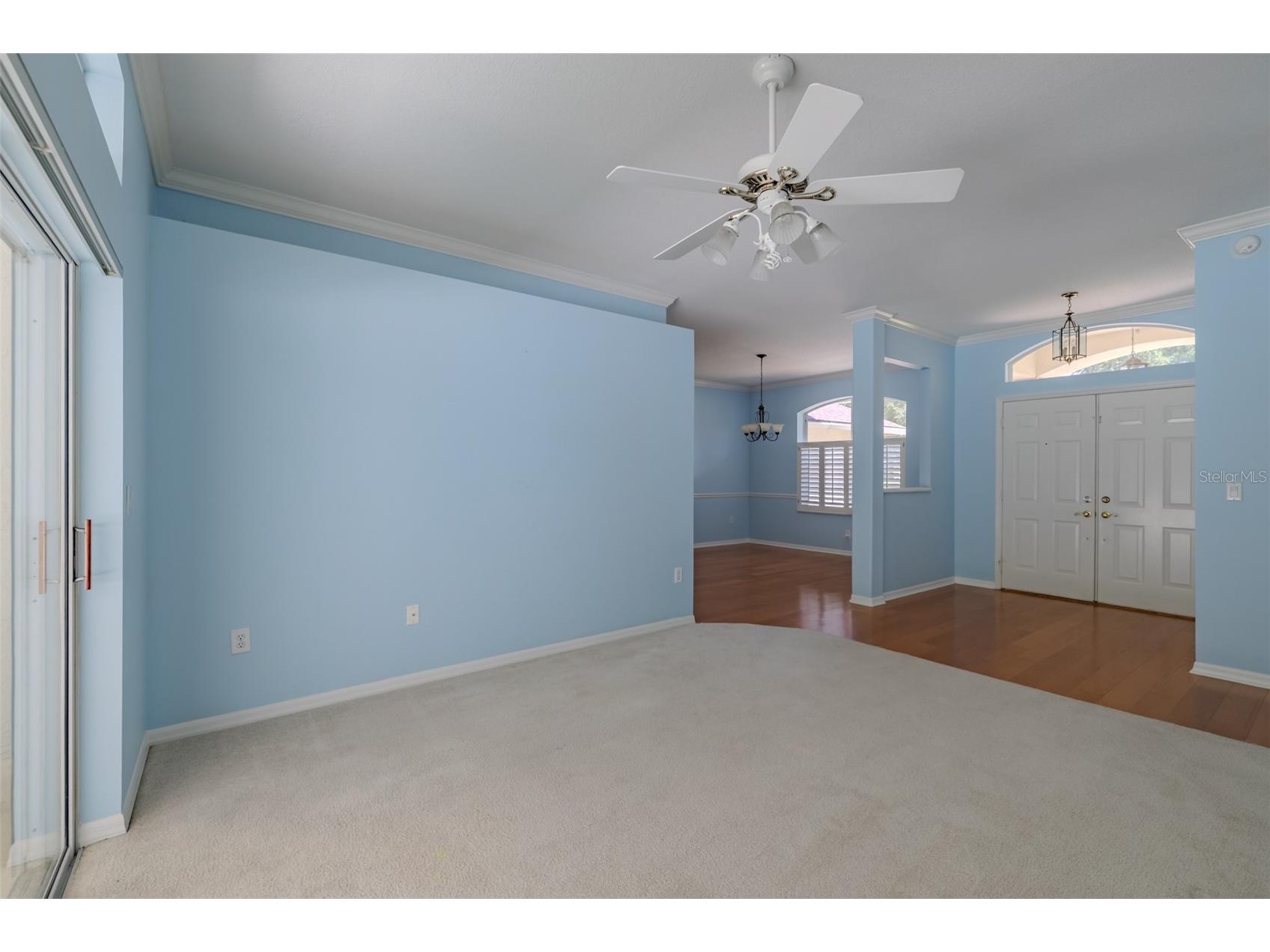 507 Surrey Lane Lutz FL 33549 TB8517387 image24
