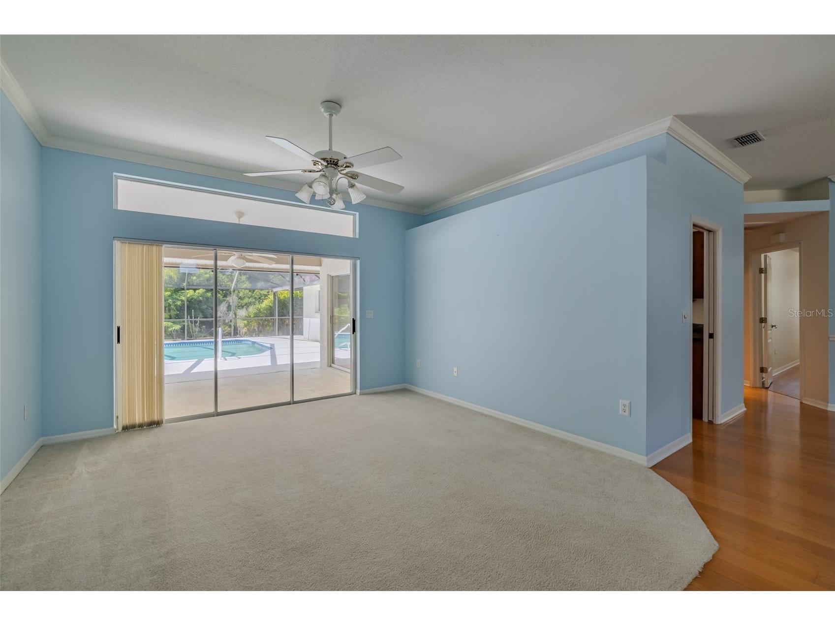 507 Surrey Lane Lutz FL 33549 TB8517387 image25