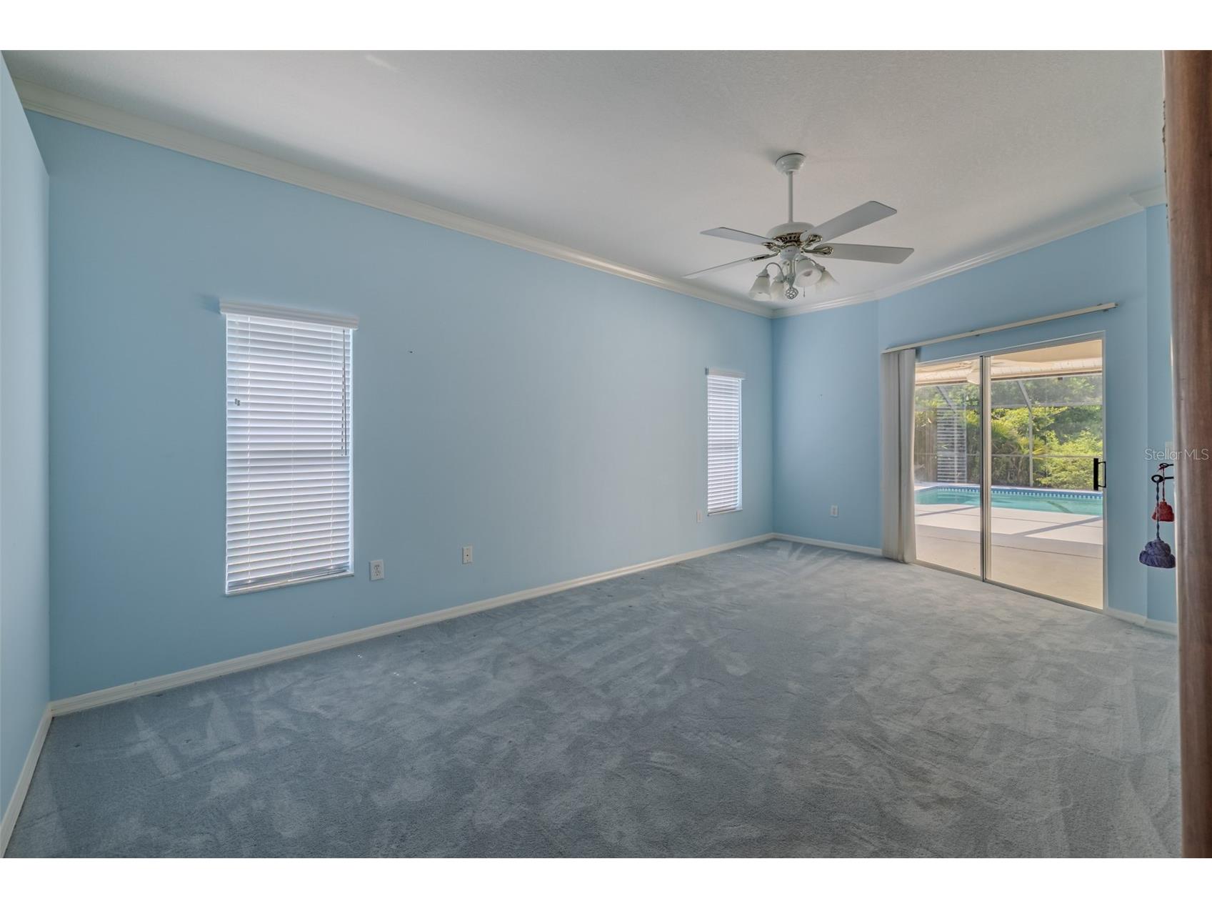 507 Surrey Lane Lutz FL 33549 TB8517387 image26