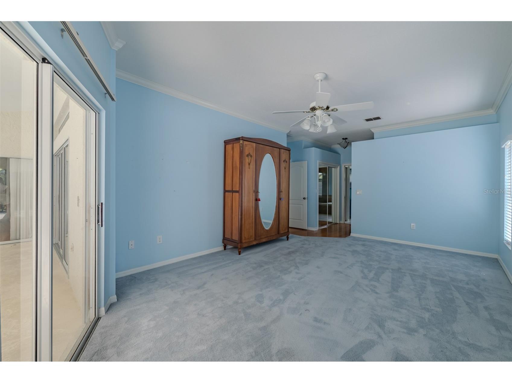 507 Surrey Lane Lutz FL 33549 TB8517387 image28