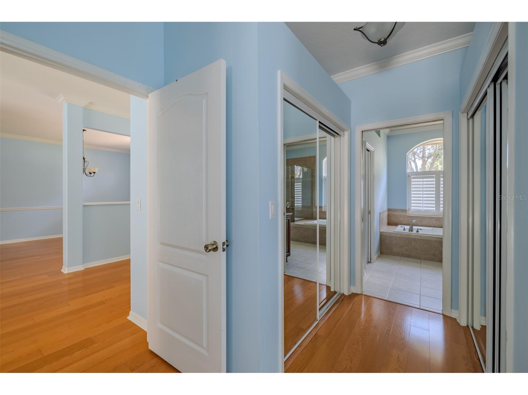 507 Surrey Lane Lutz FL 33549 TB8517387 image29