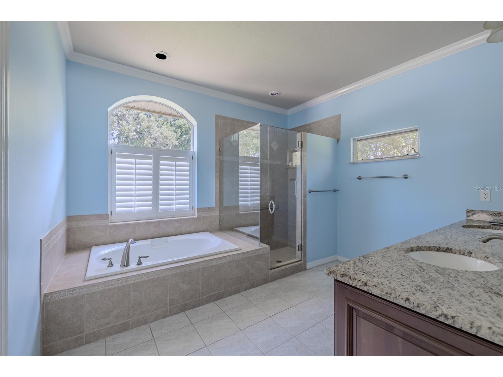 507 Surrey Lane Lutz FL 33549 TB8517387 image31