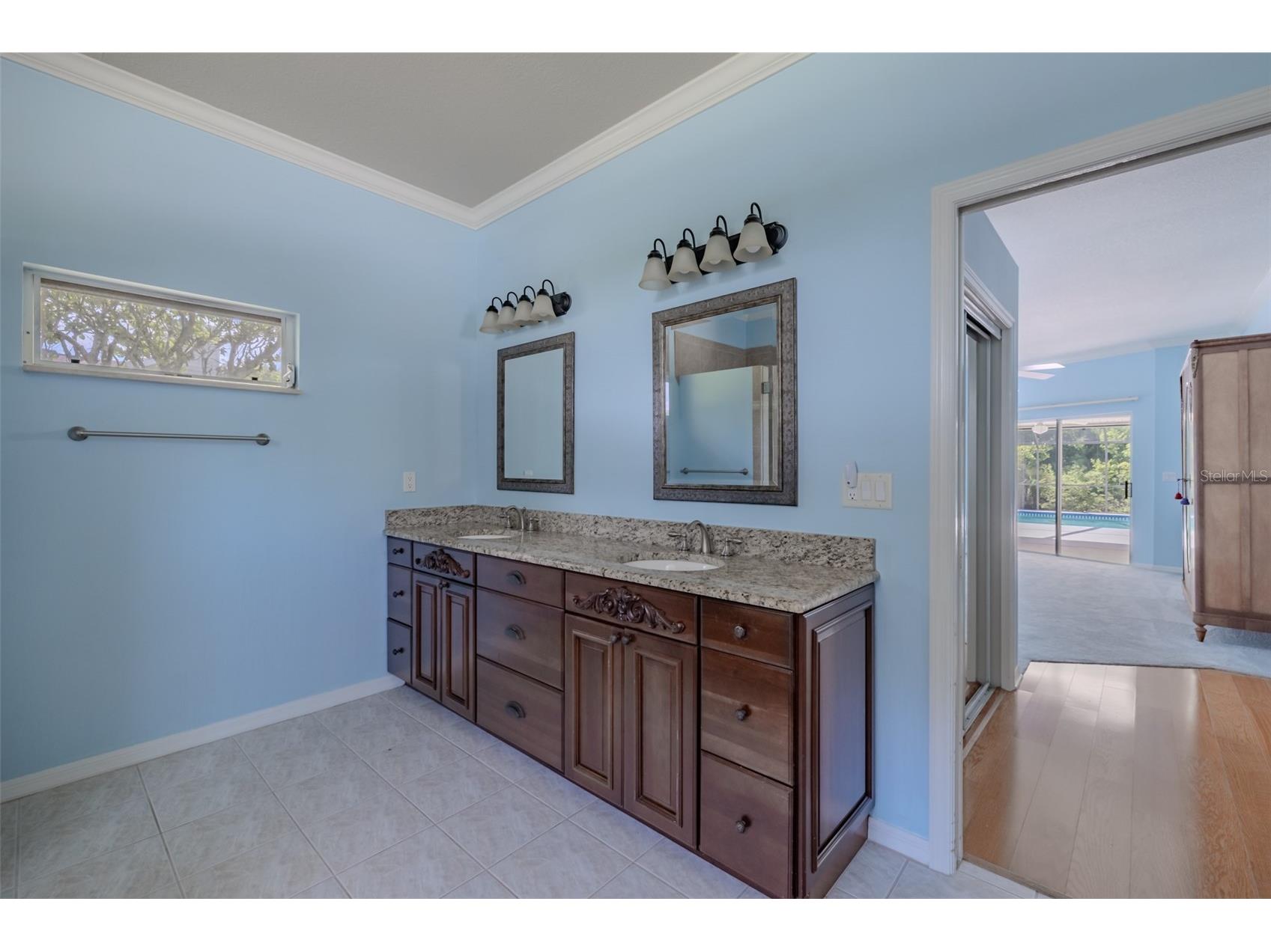 507 Surrey Lane Lutz FL 33549 TB8517387 image32