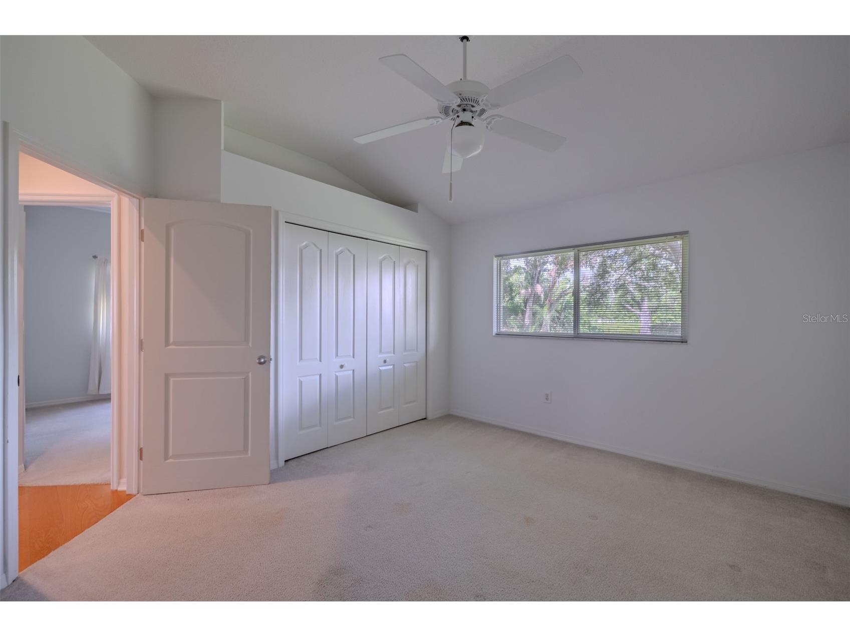 507 Surrey Lane Lutz FL 33549 TB8517387 image33