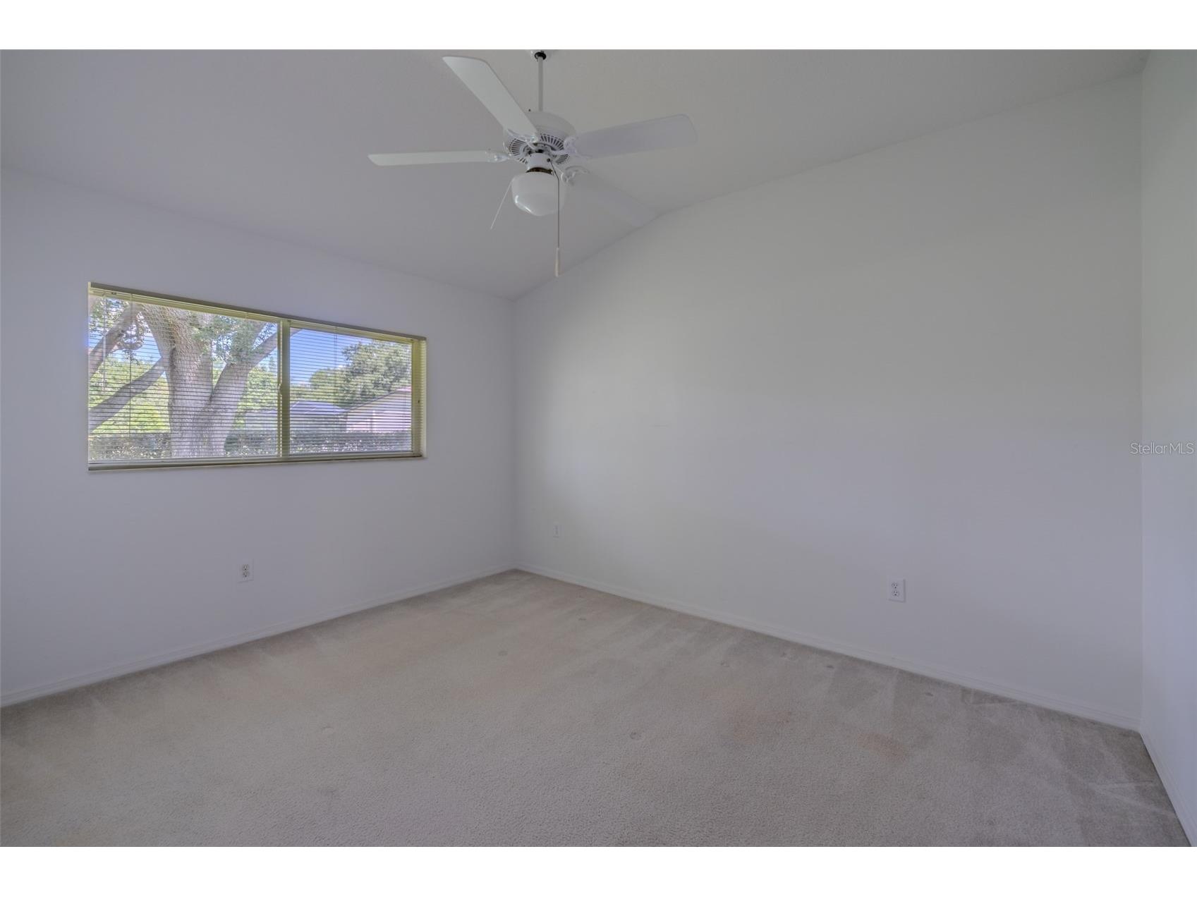 507 Surrey Lane Lutz FL 33549 TB8517387 image34