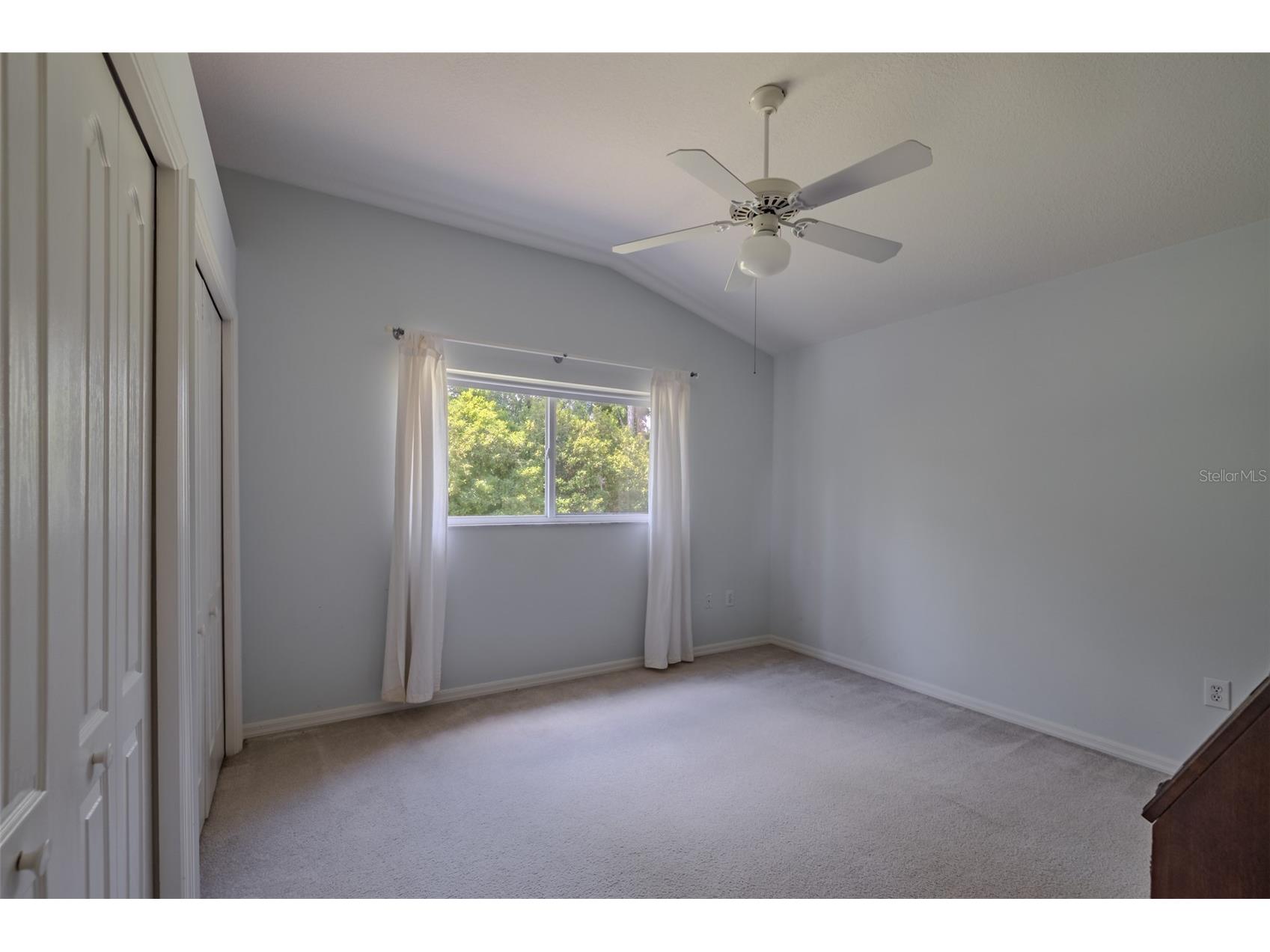 507 Surrey Lane Lutz FL 33549 TB8517387 image35