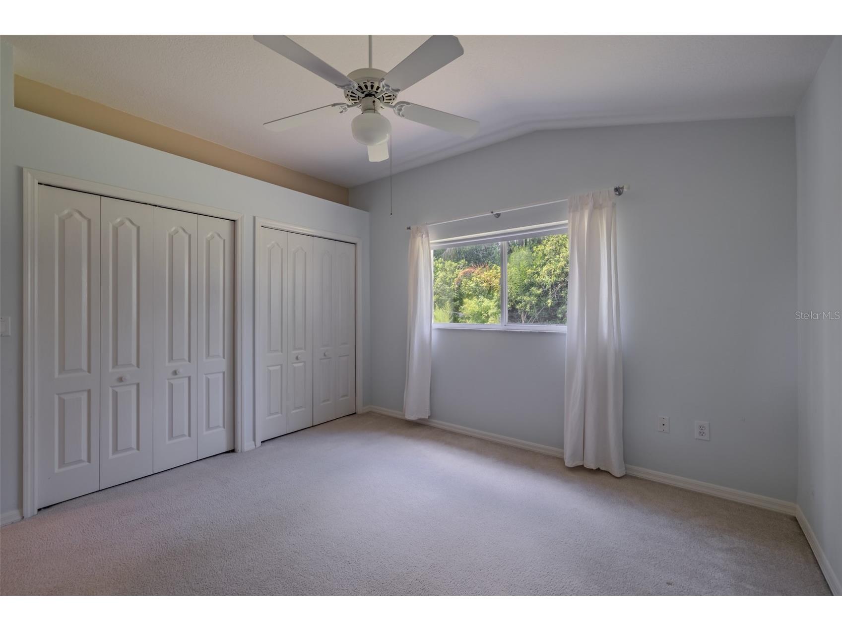 507 Surrey Lane Lutz FL 33549 TB8517387 image36