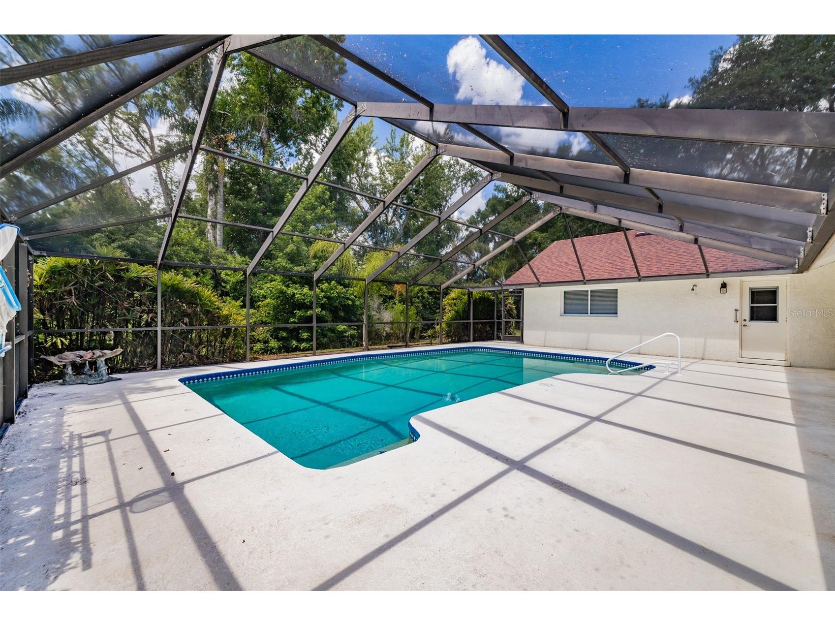 507 Surrey Lane Lutz FL 33549 TB8517387 image44