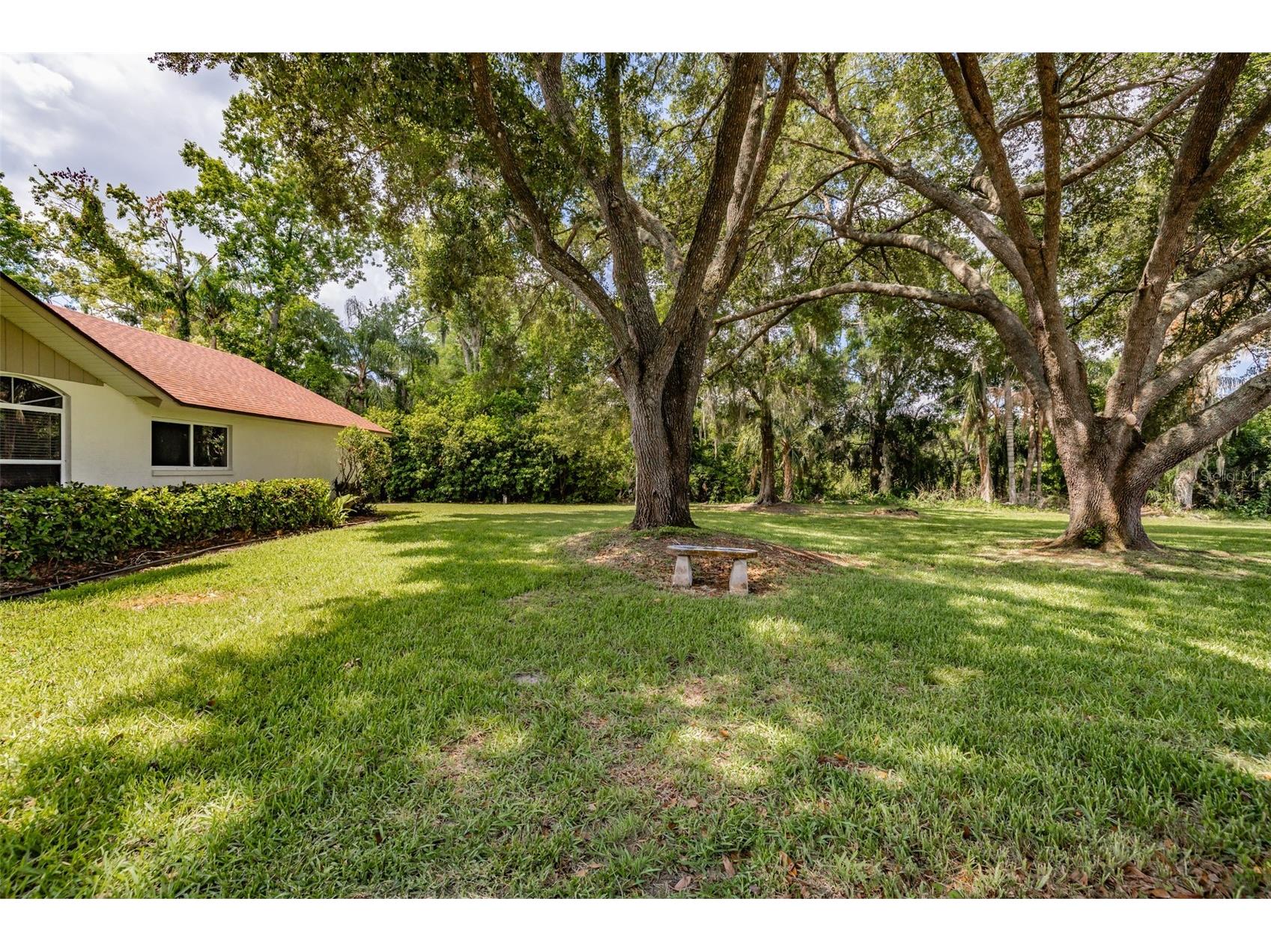 507 Surrey Lane Lutz FL 33549 TB8517387 image51