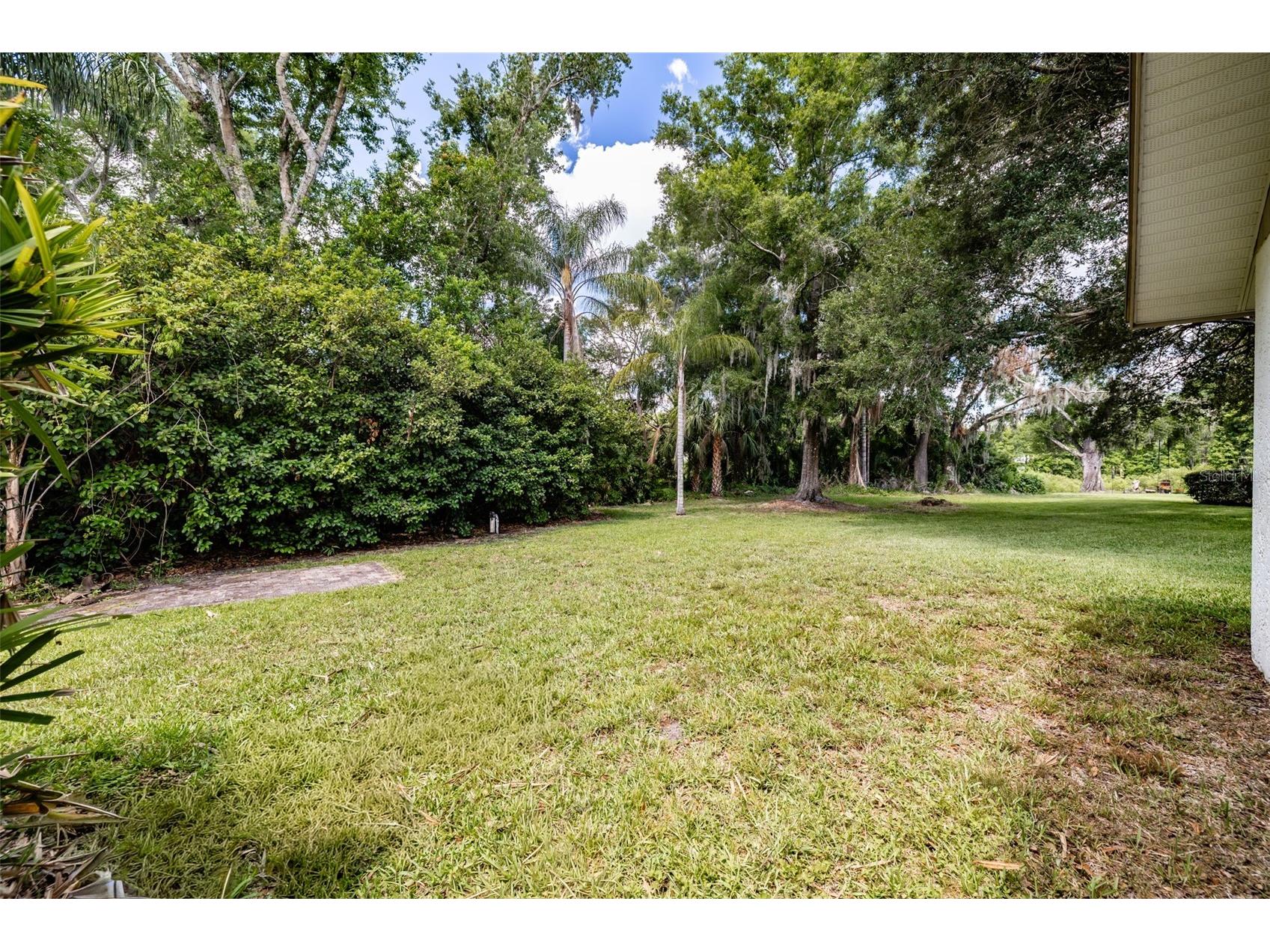 507 Surrey Lane Lutz FL 33549 TB8517387 image52