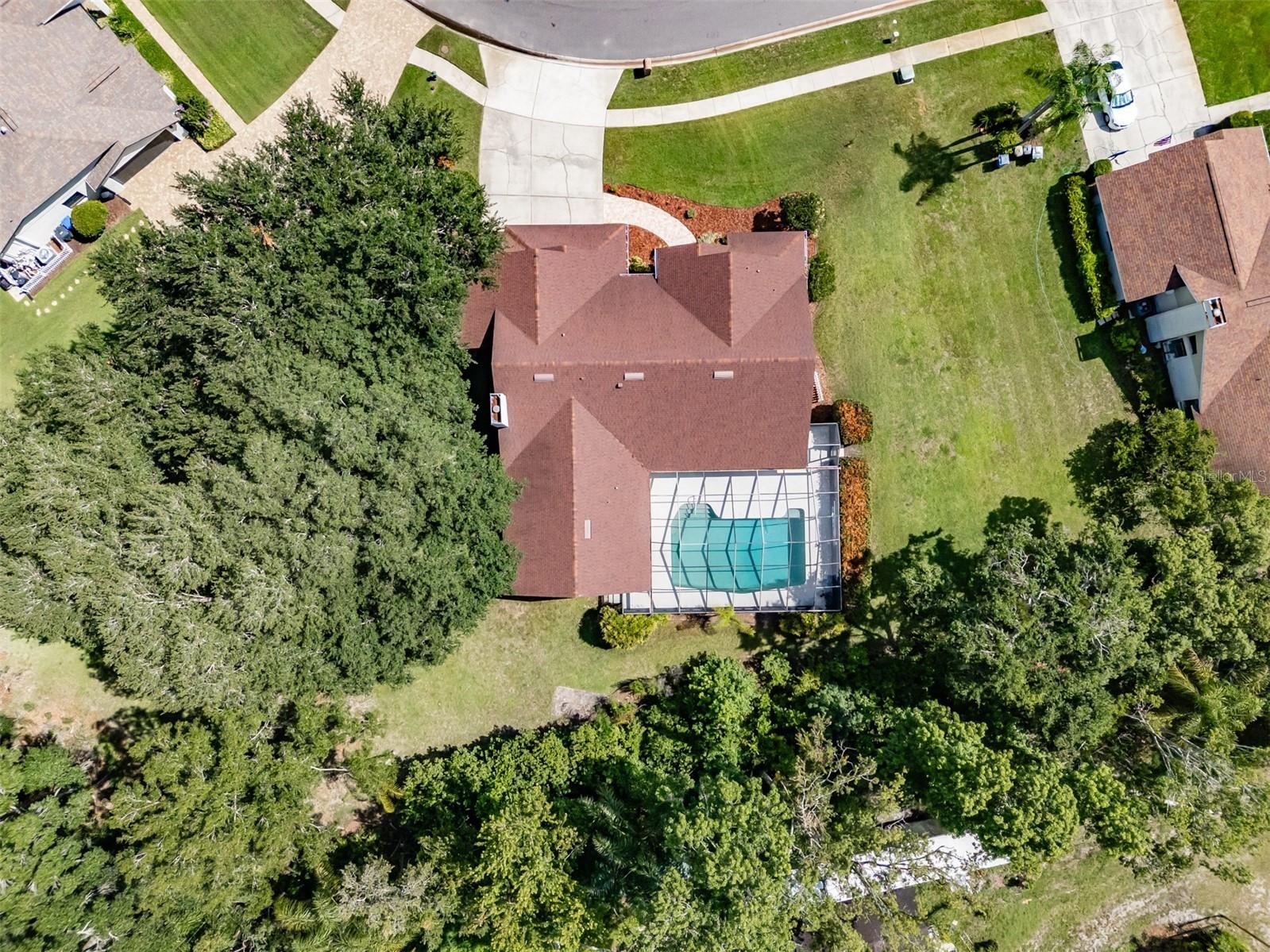507 Surrey Lane Lutz FL 33549 TB8517387 image53