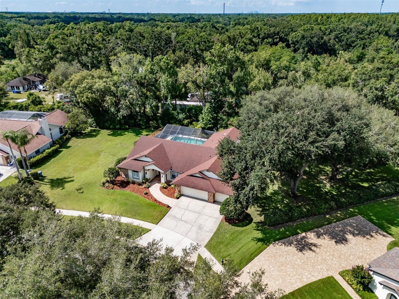 507 Surrey Lane Lutz FL 33549 TB8517387 image54
