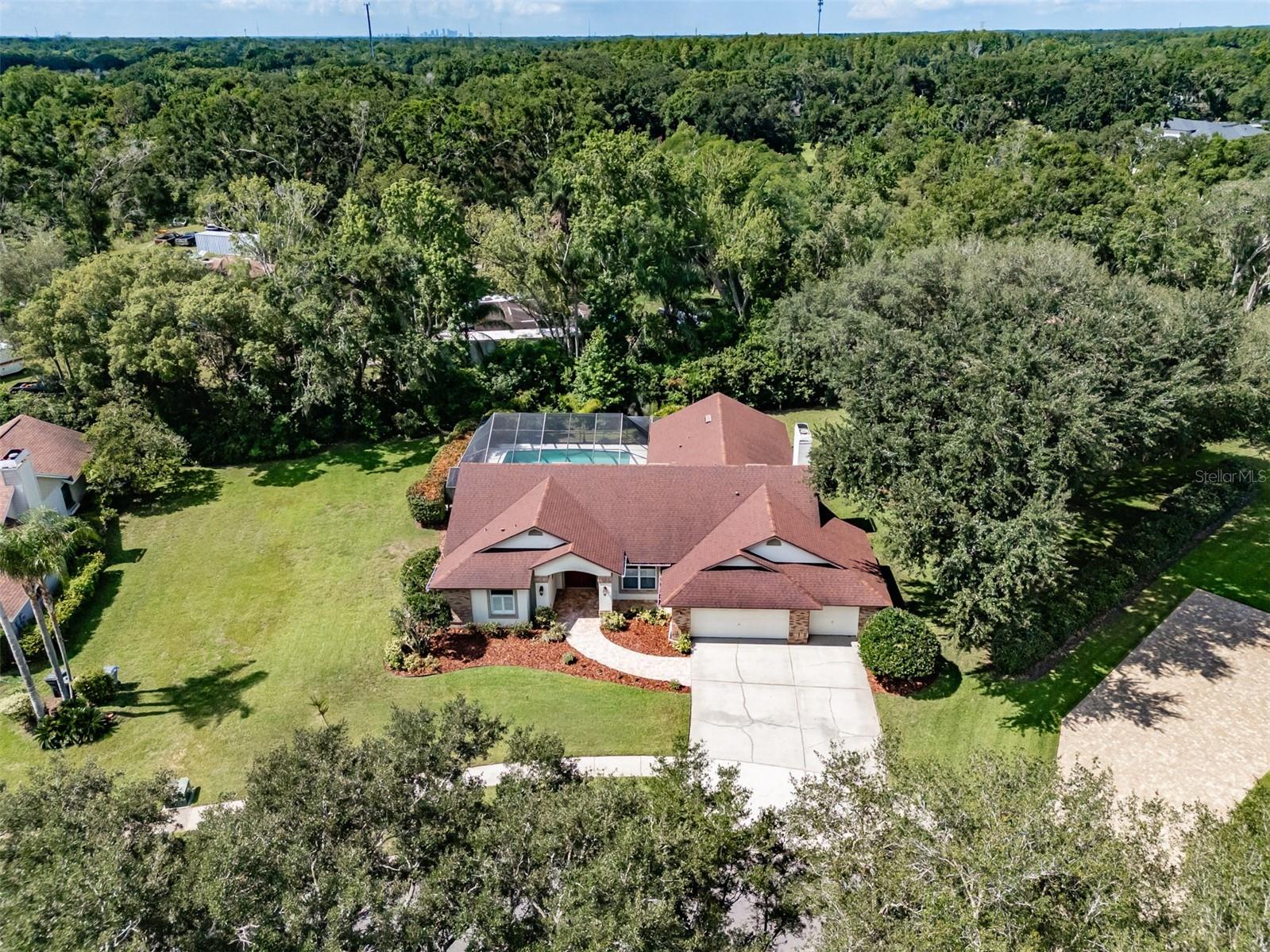 507 Surrey Lane Lutz FL 33549 TB8517387 image55