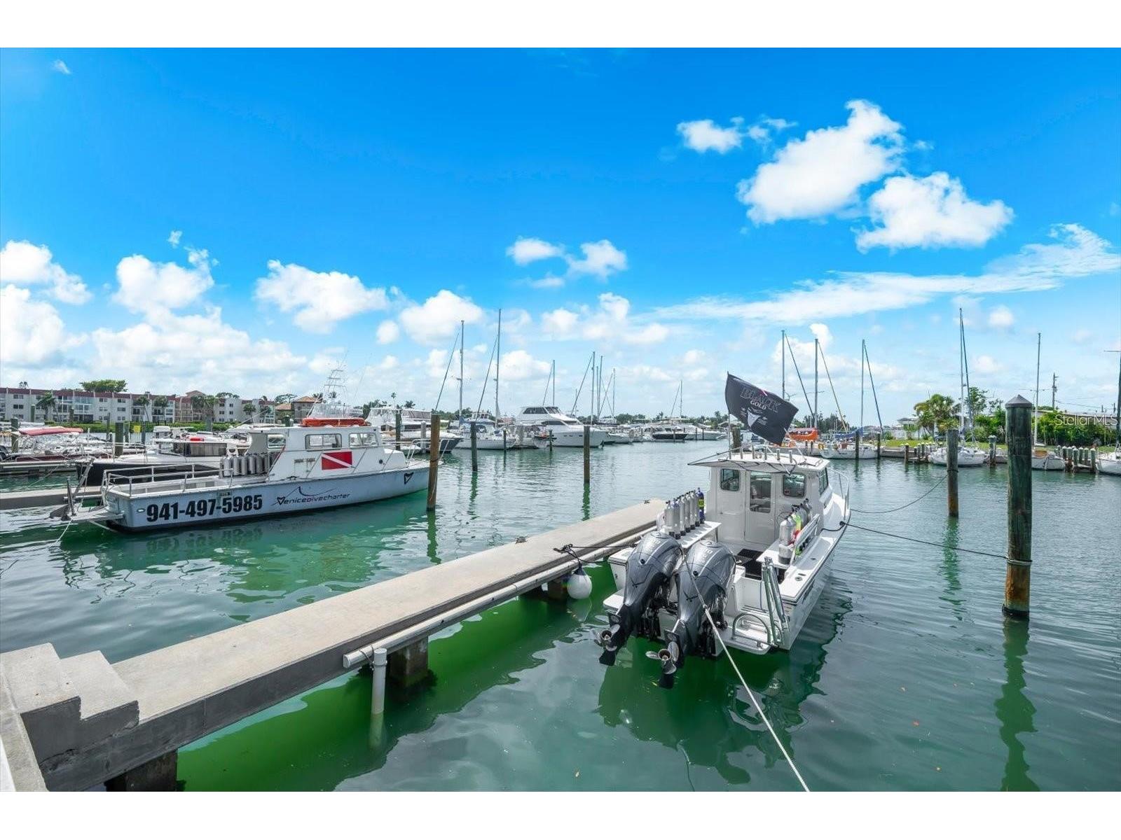 507 Tamiami Trail N #602 Venice FL 34285 N6144737 image50