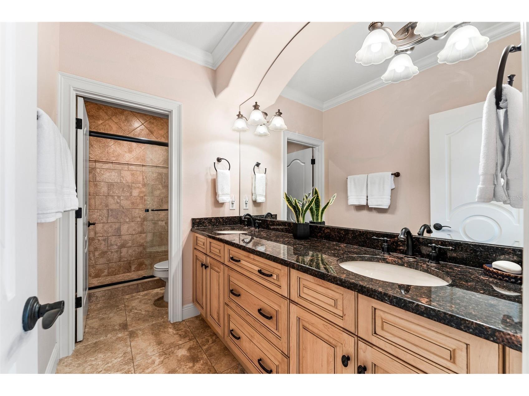 5070 Down Point Lane Windermere FL 34786 - LAKE DOWN/BUTLER CHAIN OF LAKE O6385276 image47