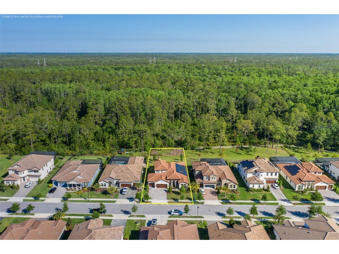 5070 Night Star Trail Odessa FL 33556 W7874677 image1