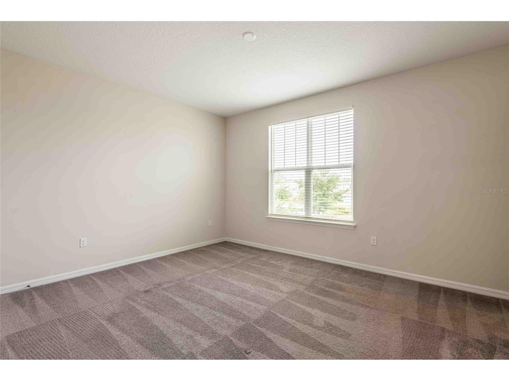 5072 Avalon Park Boulevard Wesley Chapel FL 33545 TB8508471 image32