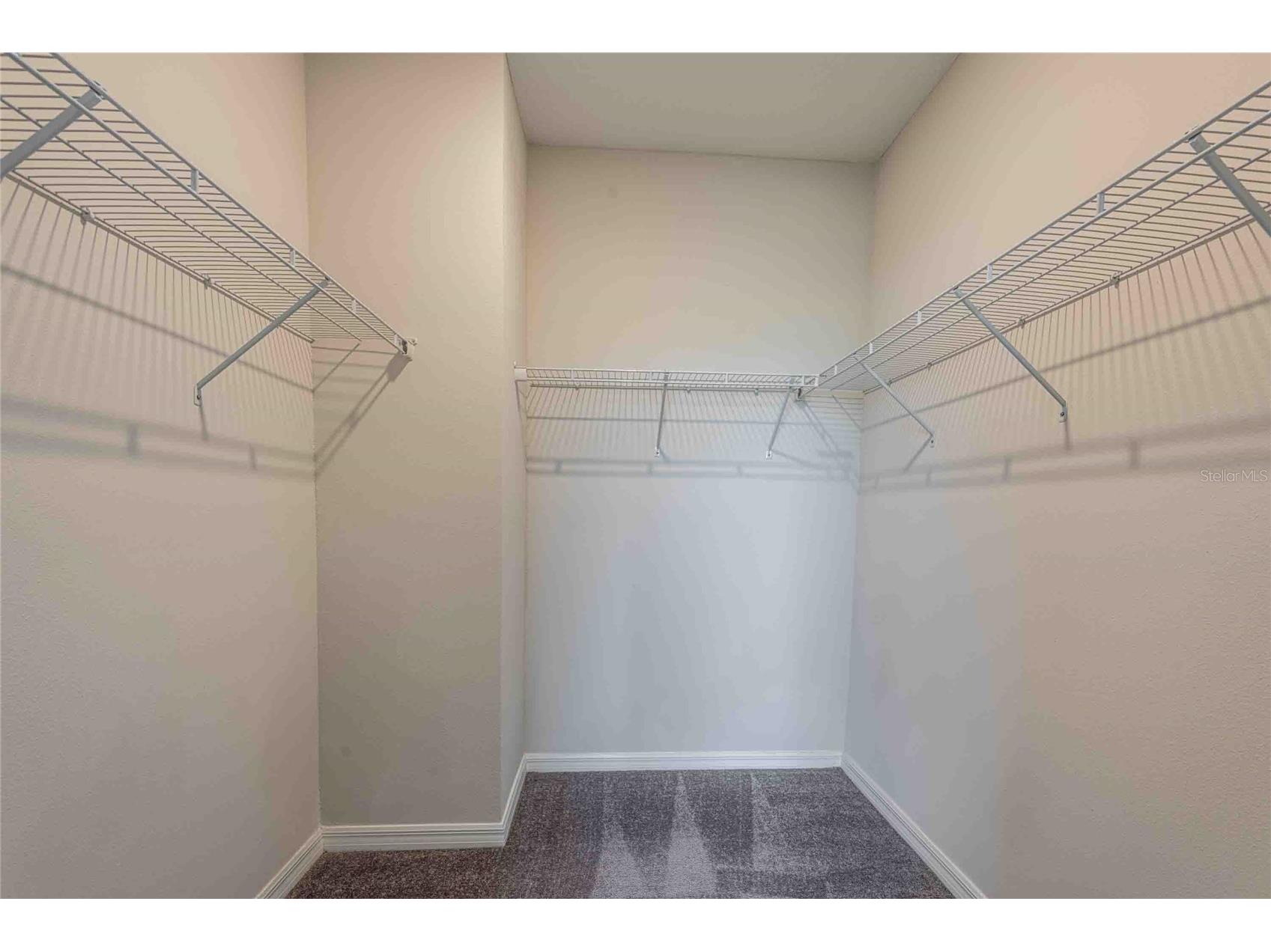 5072 Avalon Park Boulevard Wesley Chapel FL 33545 TB8508471 image34