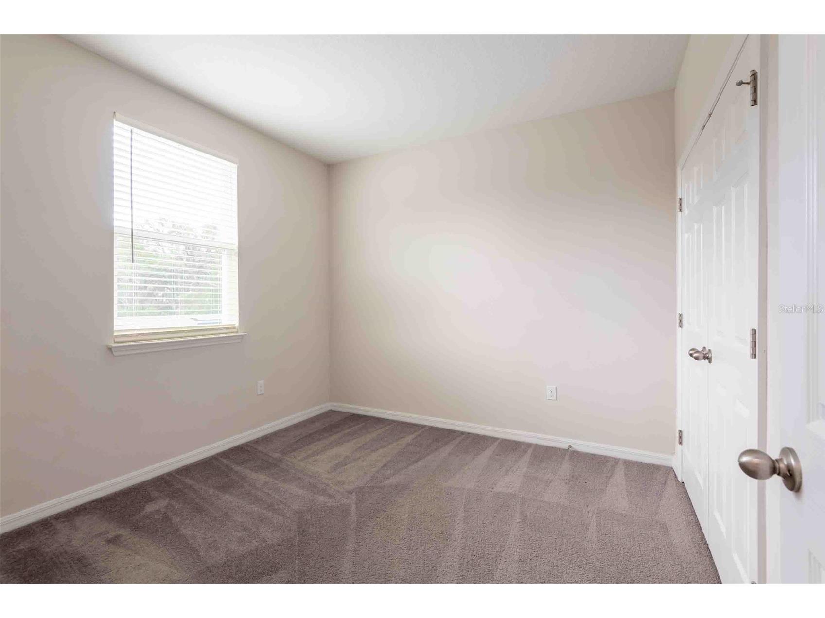 5072 Avalon Park Boulevard Wesley Chapel FL 33545 TB8508471 image41