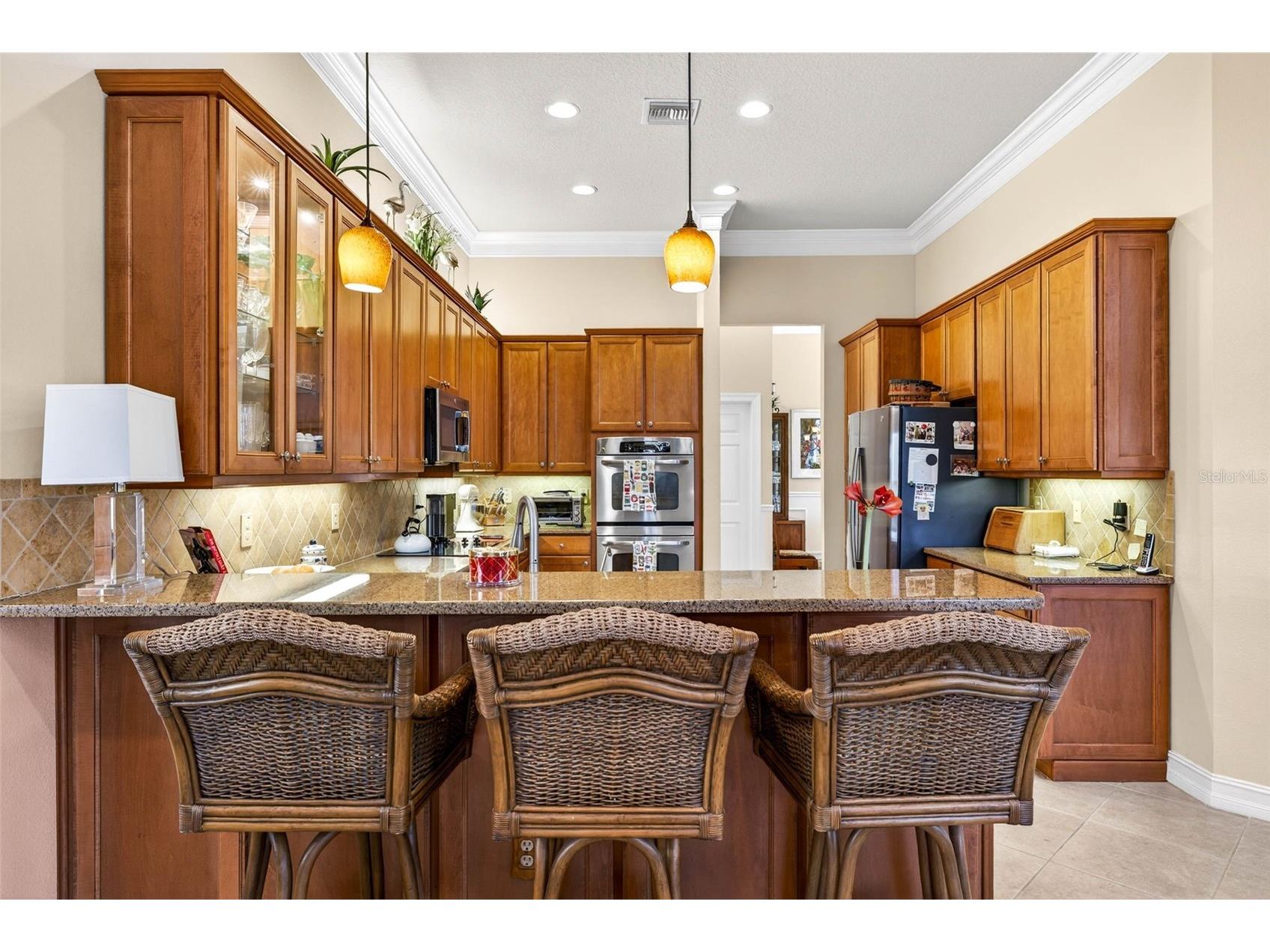 5073 Ruby Flats Drive Wimauma FL 33598 TB8511560 image18