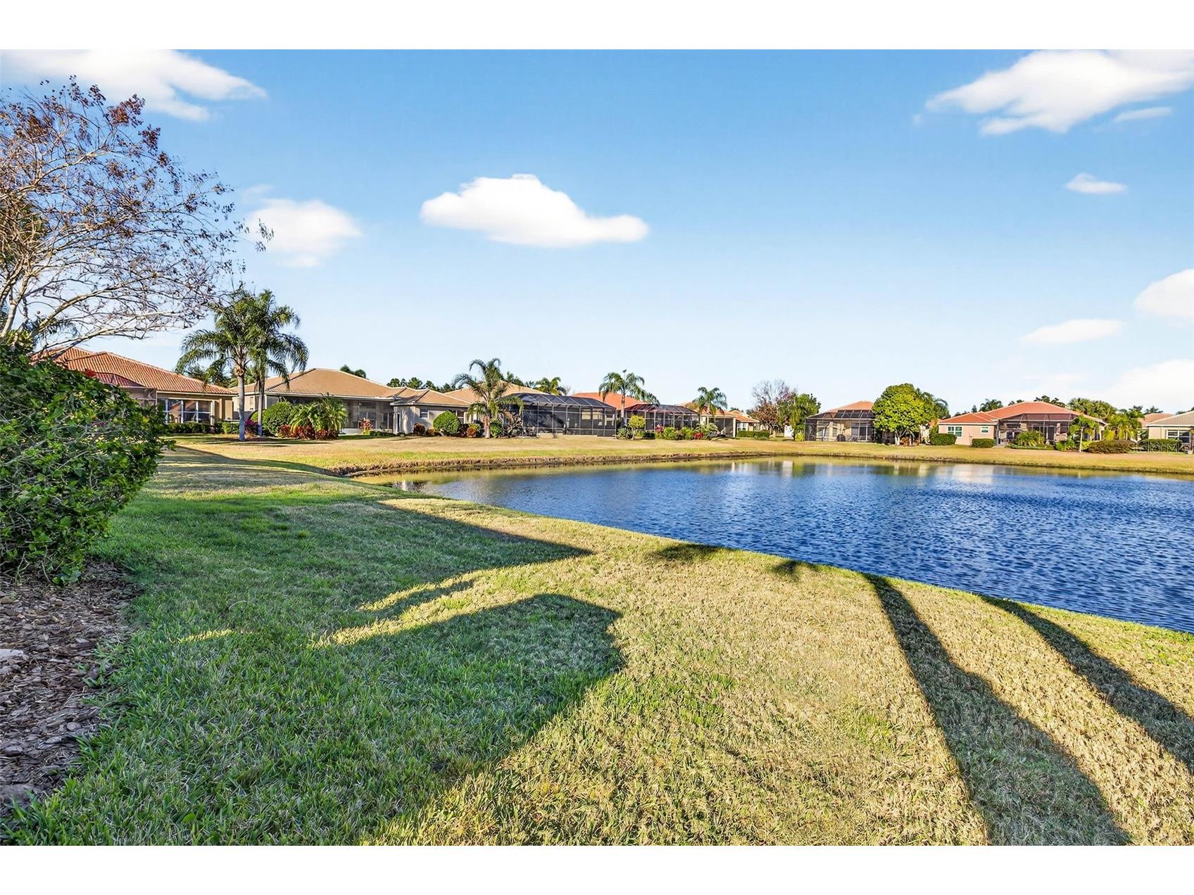 5073 Ruby Flats Drive Wimauma FL 33598 TB8511560 image55
