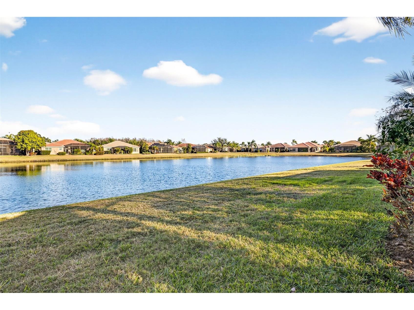 5073 Ruby Flats Drive Wimauma FL 33598 TB8511560 image56