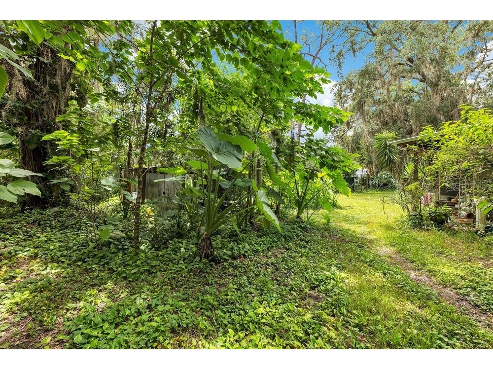 5074 S Kaliga Drive Saint Cloud FL 34771 O6427498 image11