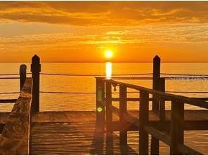 5075 Starfish Drive SE #C Saint Petersburg FL 33705 - GULF OF AMERICA TB8441590 image44