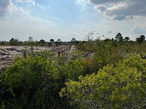 50760 Bermont Road Punta Gorda FL 33982 C7527489 image13