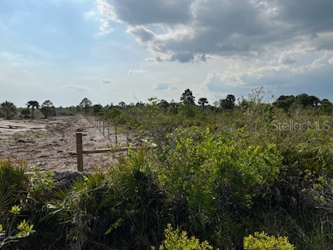 50760 Bermont Road Punta Gorda FL 33982 C7527489 image5