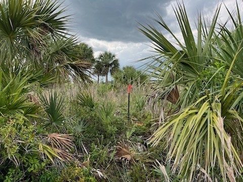 50760 Bermont Road Punta Gorda FL 33982 C7527489 image6