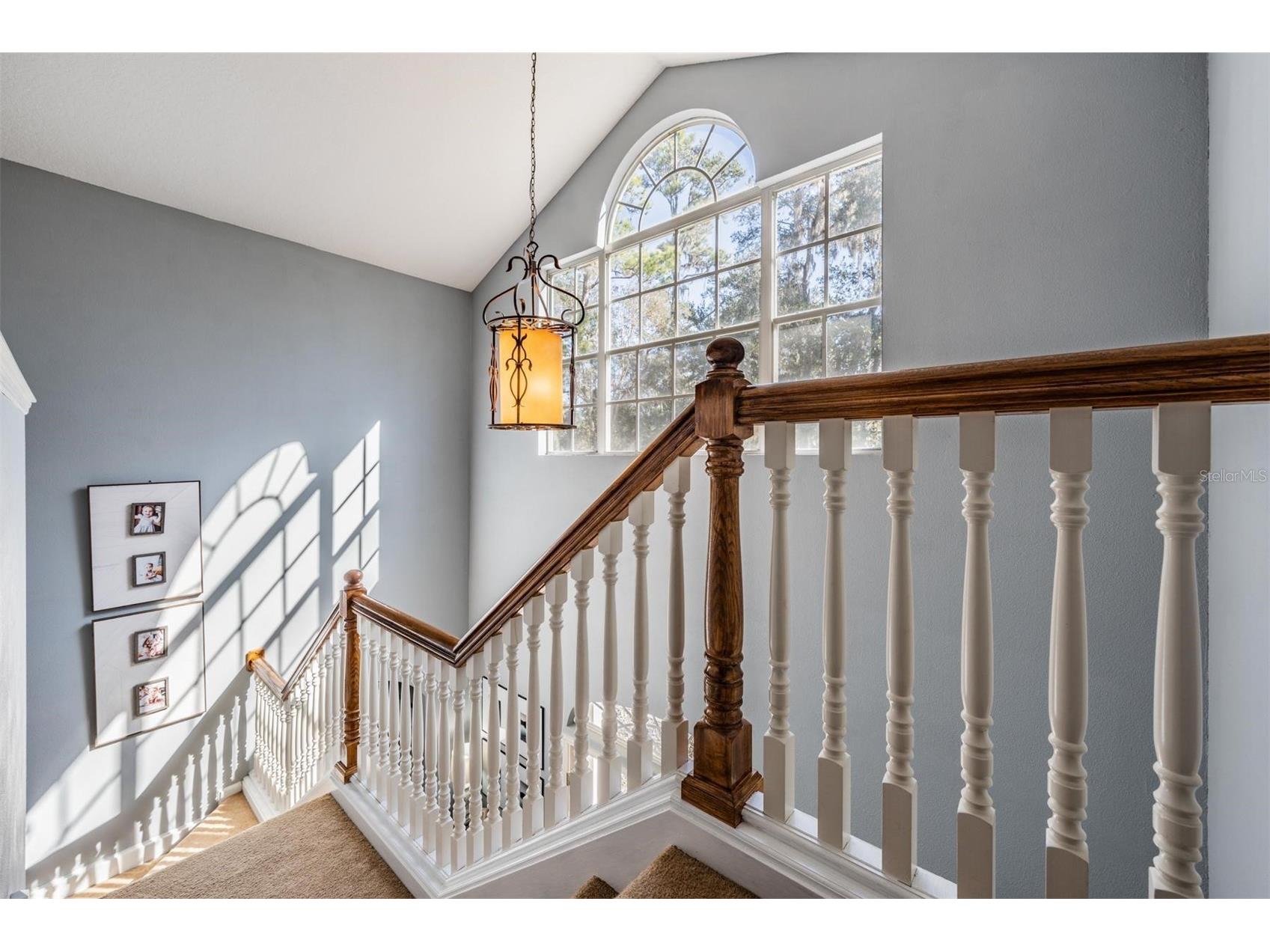 5079 Cedar Lane Brooksville FL 34601 TB8477626 image24