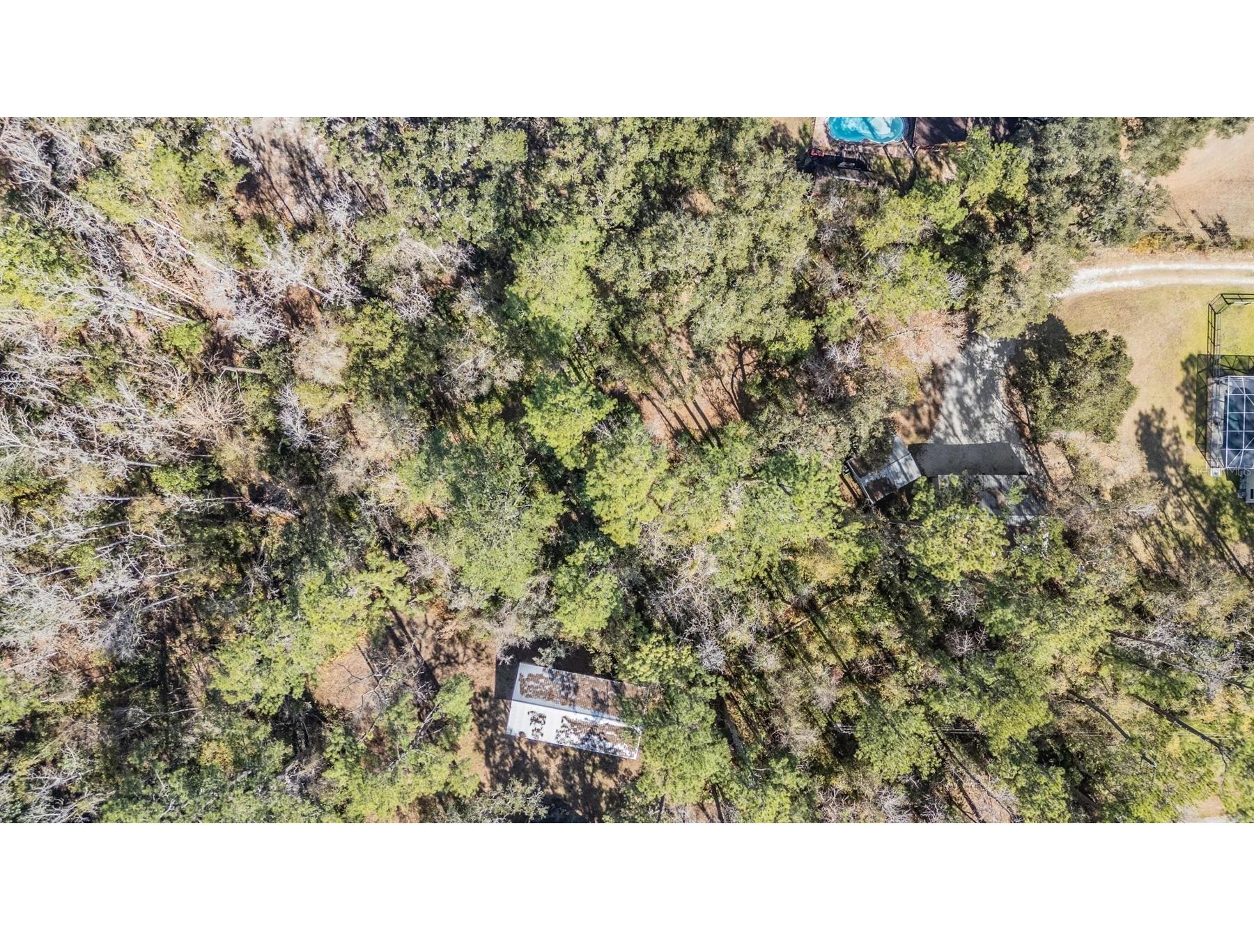 5079 Cedar Lane Brooksville FL 34601 TB8477626 image51