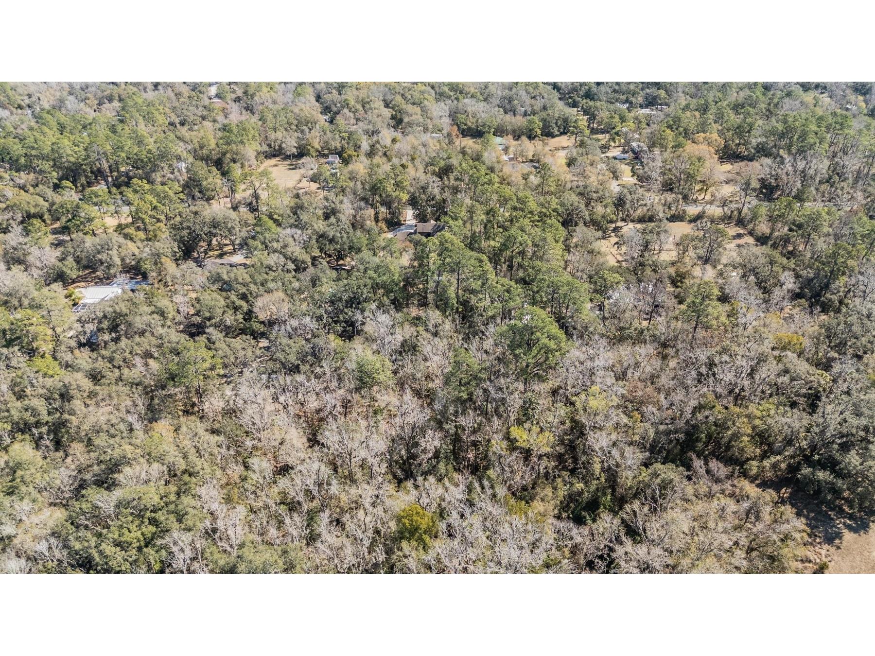 5079 Cedar Lane Brooksville FL 34601 TB8477626 image52