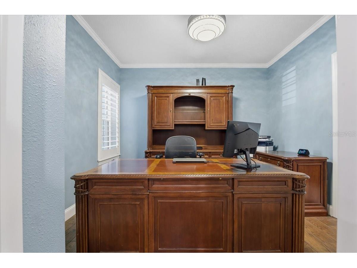508 Ashley Drive Dunedin FL 34698 TB8473697 image31