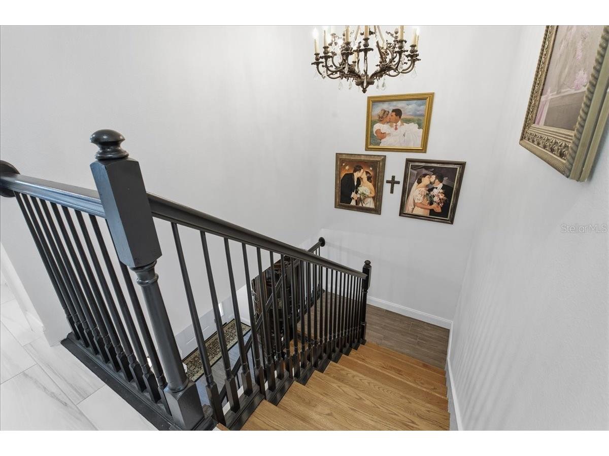 508 Ashley Drive Dunedin FL 34698 TB8473697 image34