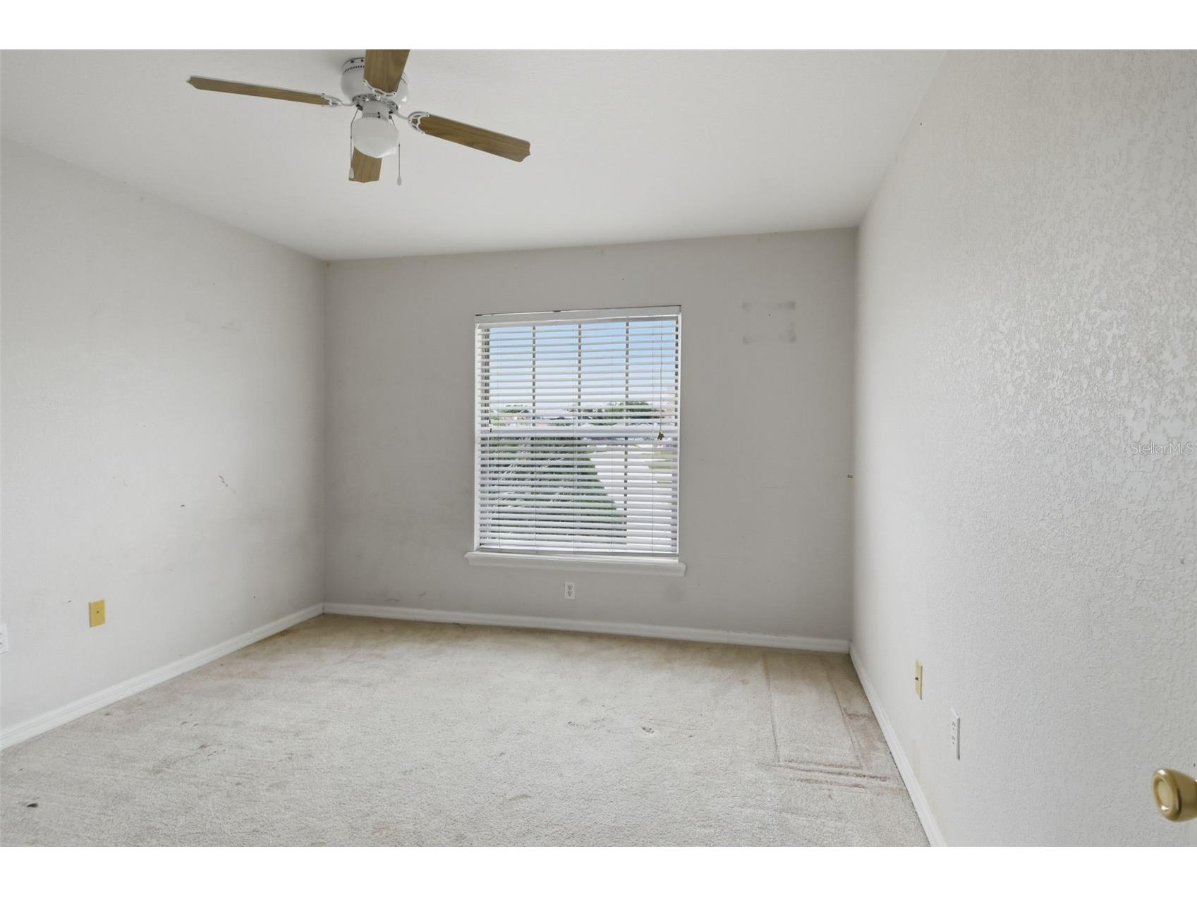 508 Cody Caleb Drive Winter Haven FL 33884 TB8508208 image15
