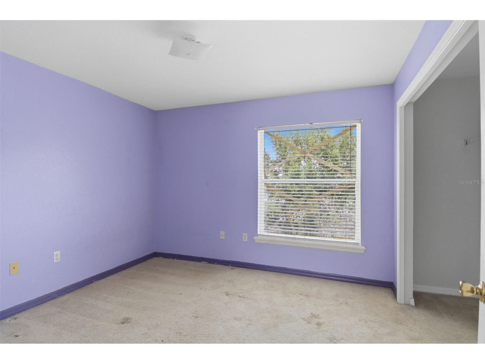 508 Cody Caleb Drive Winter Haven FL 33884 TB8508208 image18