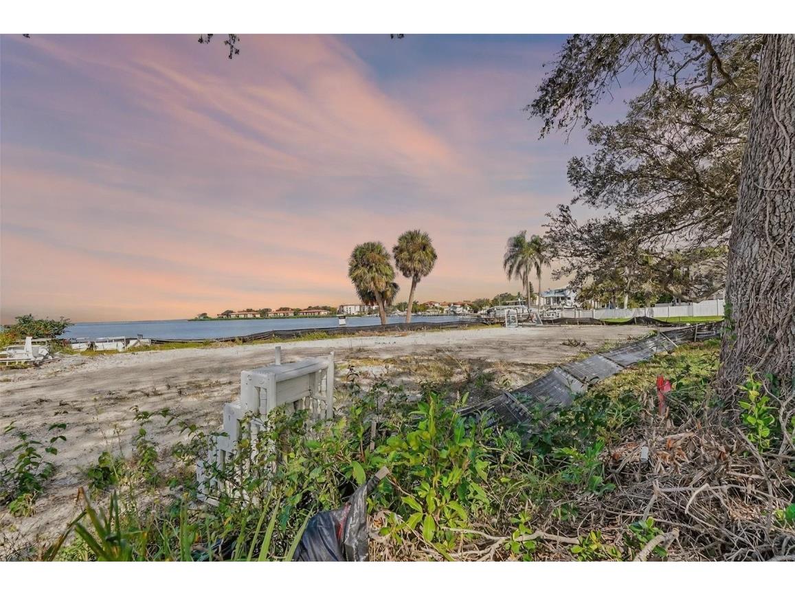 508 Driftwood Circle Palm Harbor FL 34683 TB8436307 image11