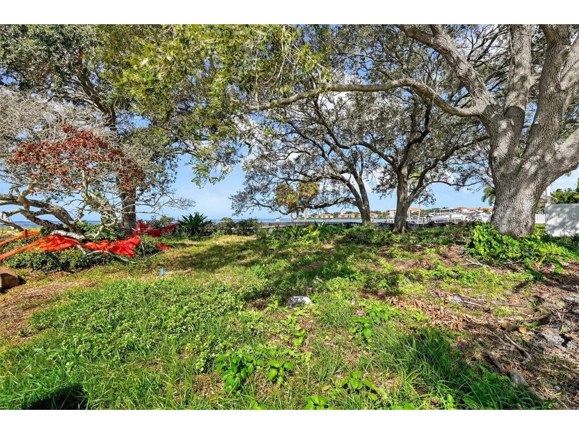 508 Driftwood Circle Palm Harbor FL 34683 TB8436307 image15