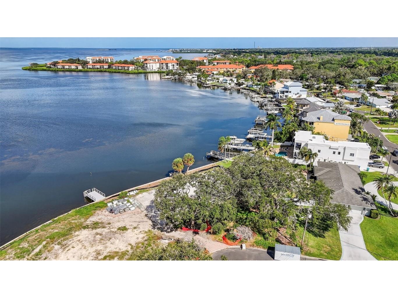508 Driftwood Circle Palm Harbor FL 34683 TB8436307 image3