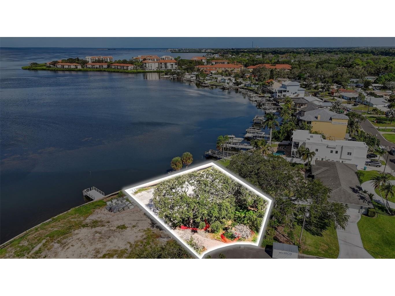 508 Driftwood Circle Palm Harbor FL 34683 TB8436307 image4
