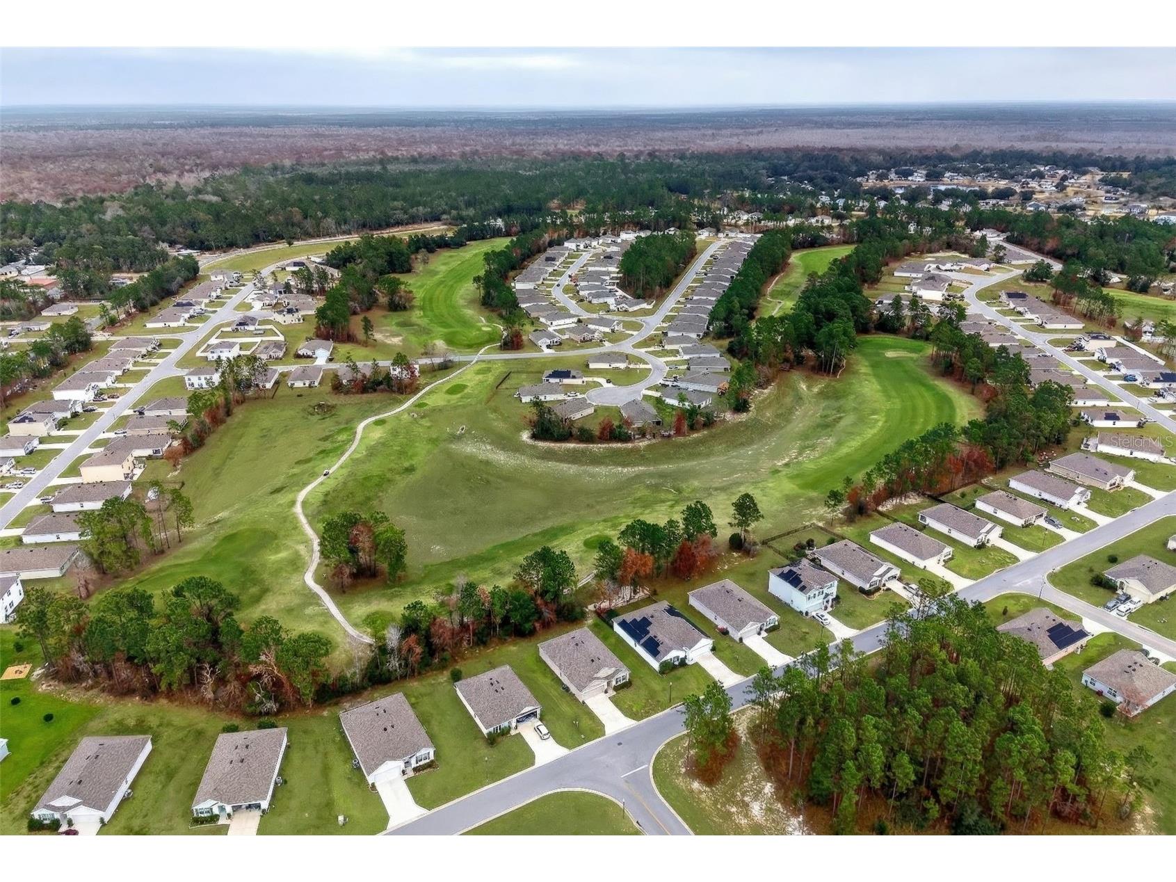 508 Hickory Course Loop Ocala FL 34472 O6376747 image40