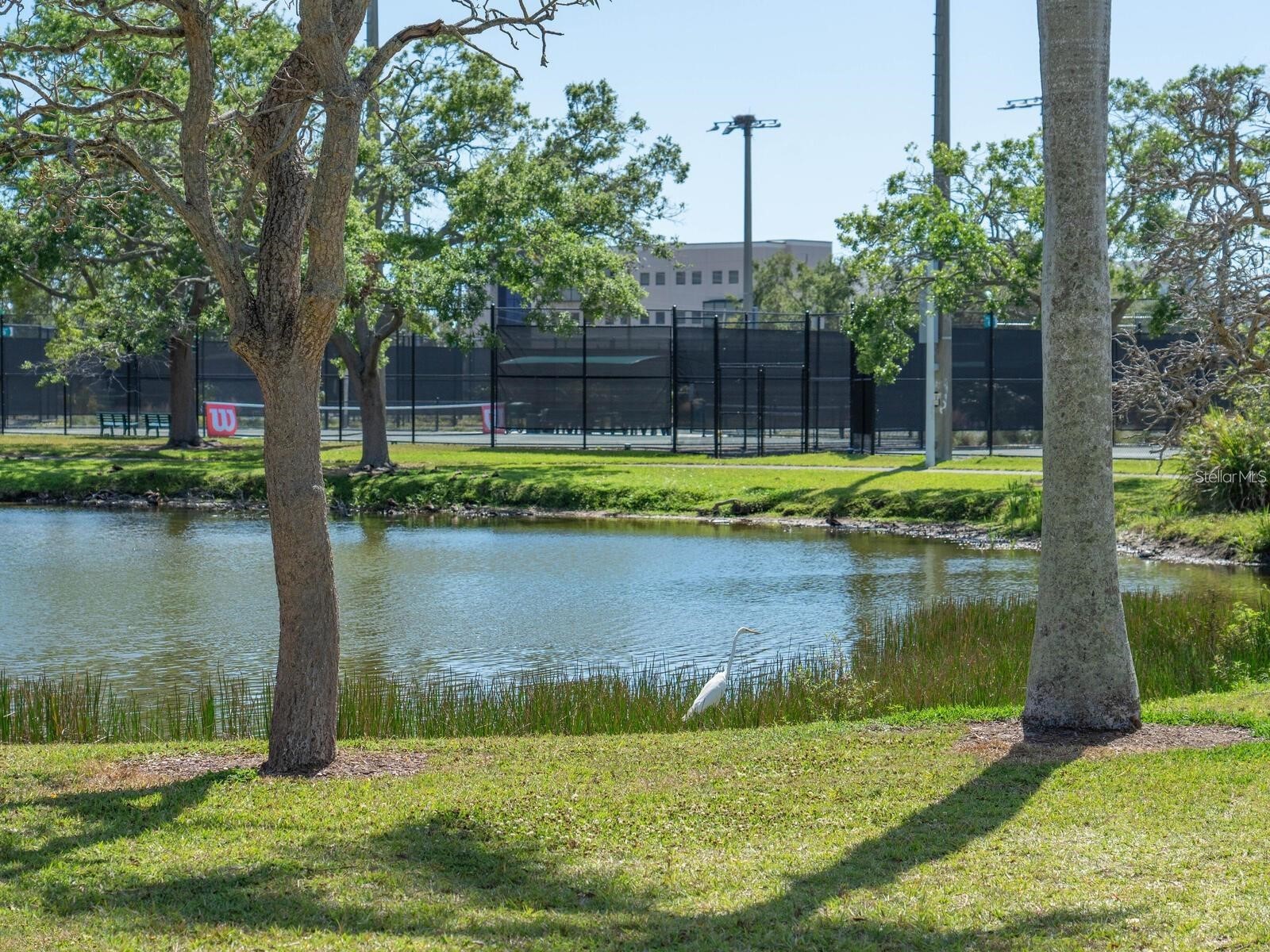 508 Laurel Park Drive Sarasota FL 34236 A4689094 image39