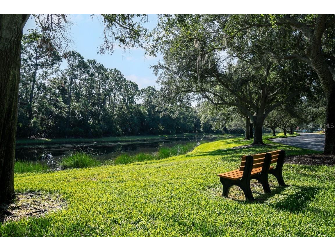 508 Meadow Sweet Circle Osprey FL 34229 A4664579 image73