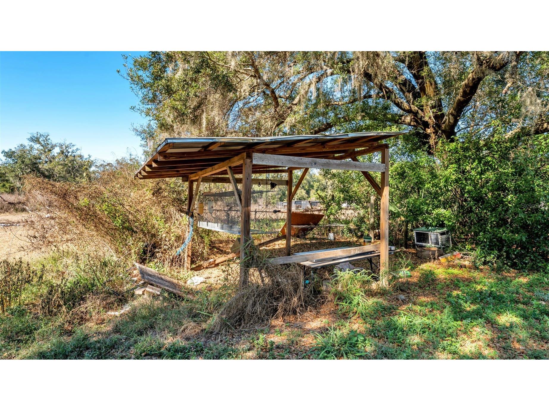 508 N Saint Cloud Avenue Valrico FL 33594 L4958619 image36