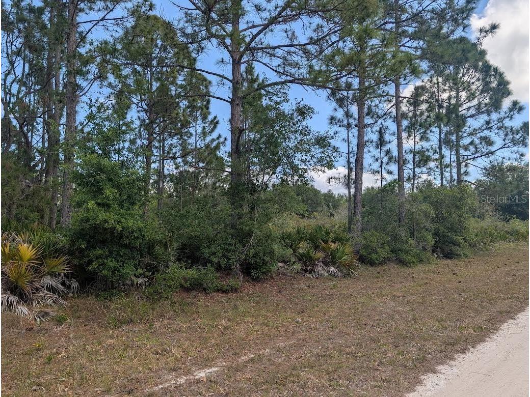 508 Orchid Drive Indian Lake Estates FL 33855 - LAKE WALK-IN-WATER P4938583 image1