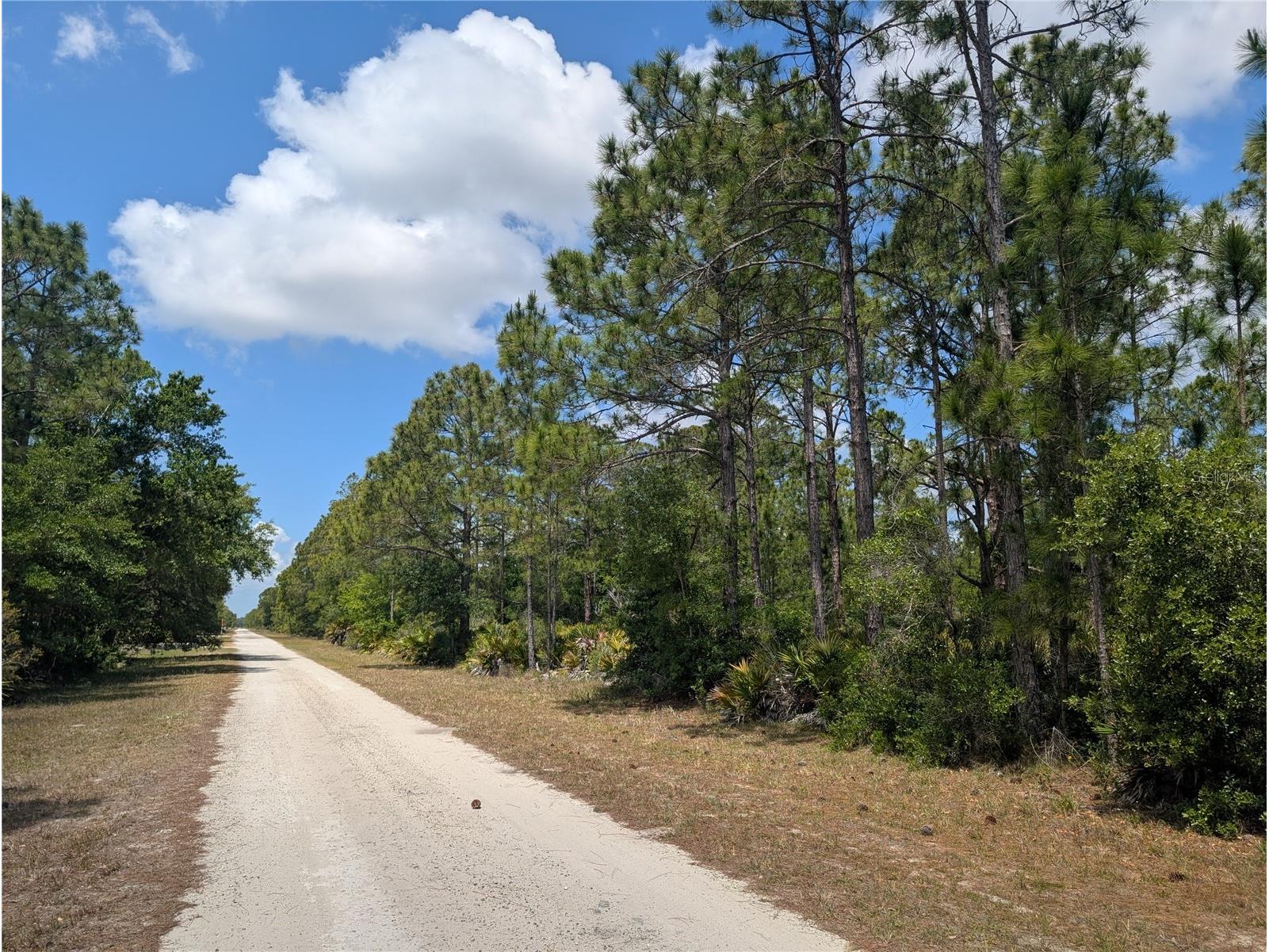 508 Orchid Drive Indian Lake Estates FL 33855 - LAKE WALK-IN-WATER P4938583 image2